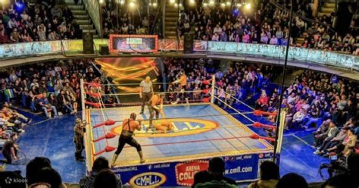A Gateway To Wrestling's Electrifying World