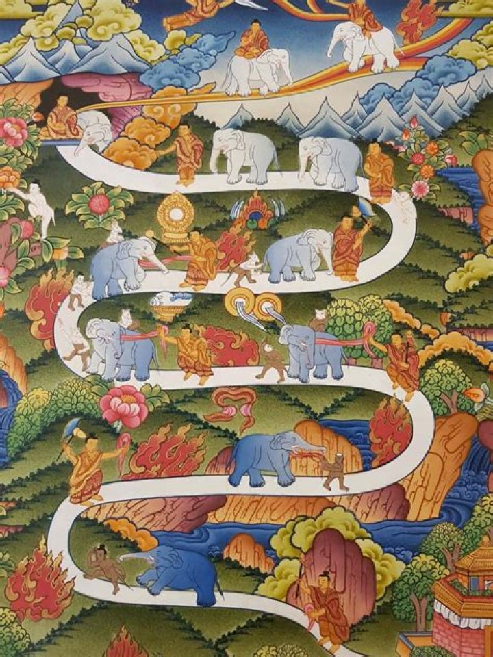 A Journey Of Enlightenment For AMS20