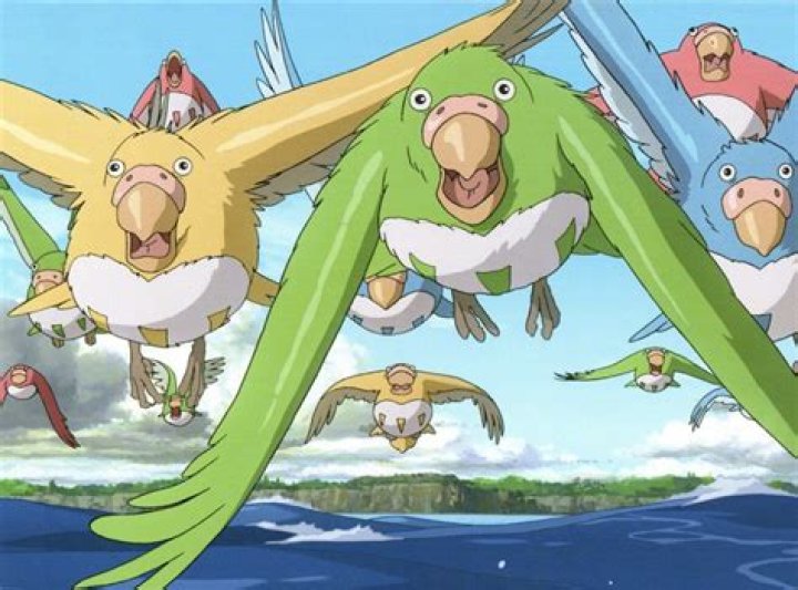 Noble Pelican The Boy And The Heron