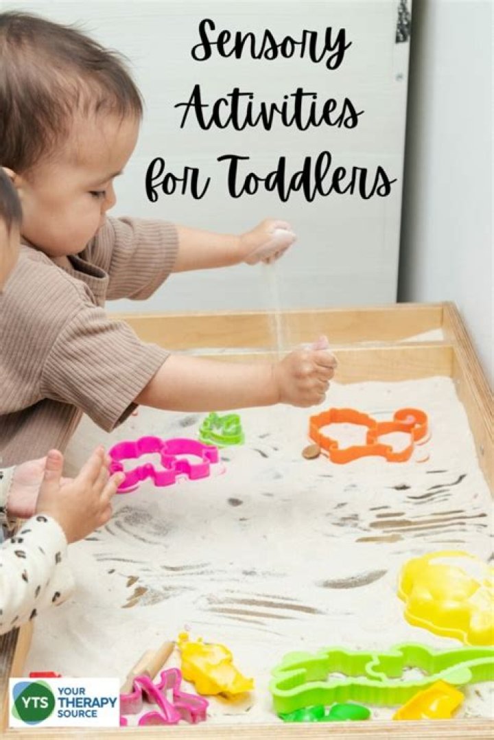 Sensory Exploration And Therapeutic Wonders