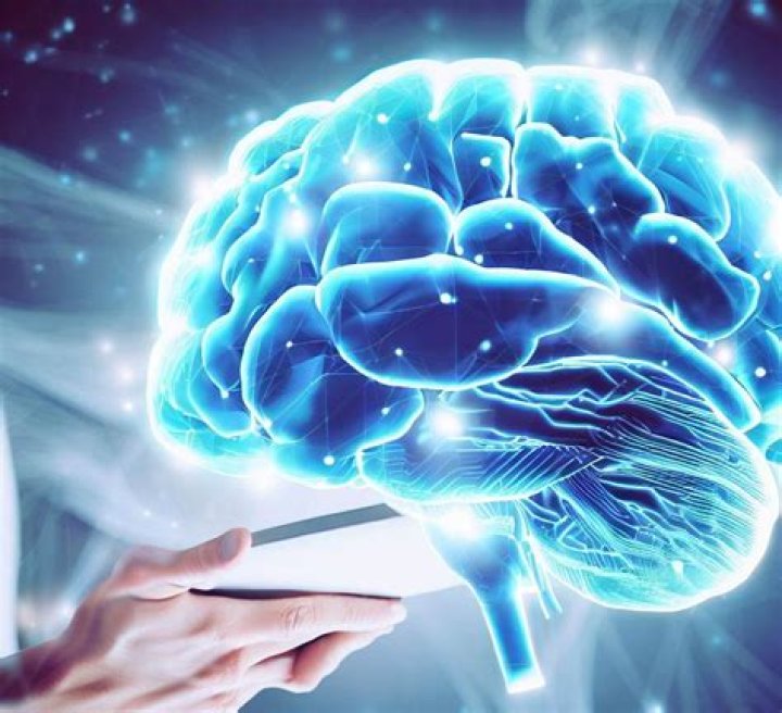 Unraveling The Mysteries Of Painal Tap Out BRCC: Discoveries And Insights